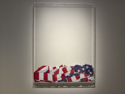 Amerika-pak en fantasietrofeeën - Fran Stuijf