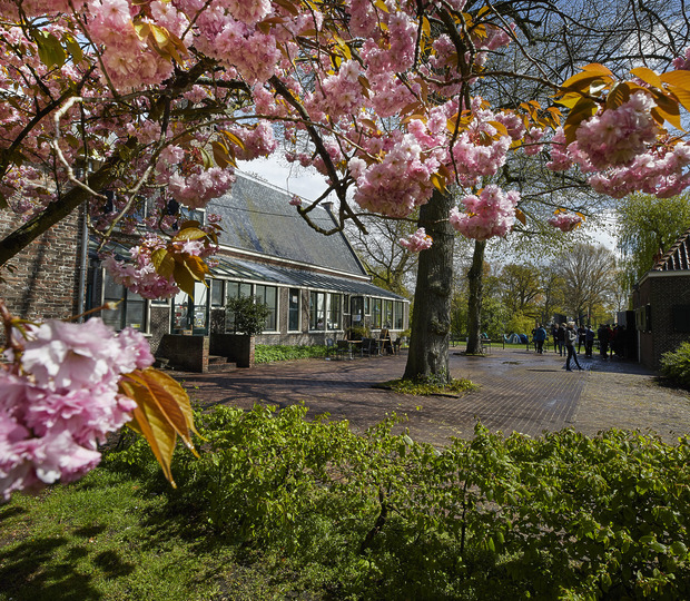 Dolhuys - museum van de geest 2017 - Foto Bastiaan Musscher (122)